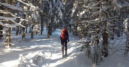 Bilinnredning til skientusiasten